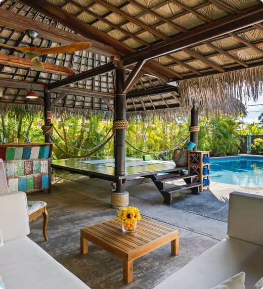 DTravel - Your travel partner